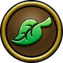 Life School